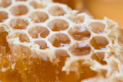 Honeycomb