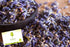 Dried Lavender Flowers - Naturally Fragrant - Various Sizes