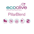 EcoOlive (Pillar Blend) Wax - Various Sizes