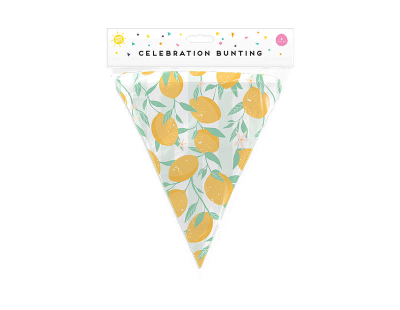 Summer Party Bunting - 6M - 3 Designs