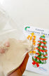 Make your own - Sweet Christmas Tree Kit, Polystyrene cones, containers, plaster